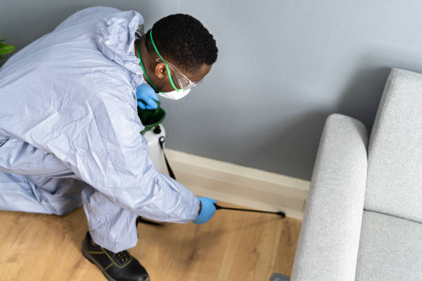 Real Estate Pest Inspections in Buffalo, NY